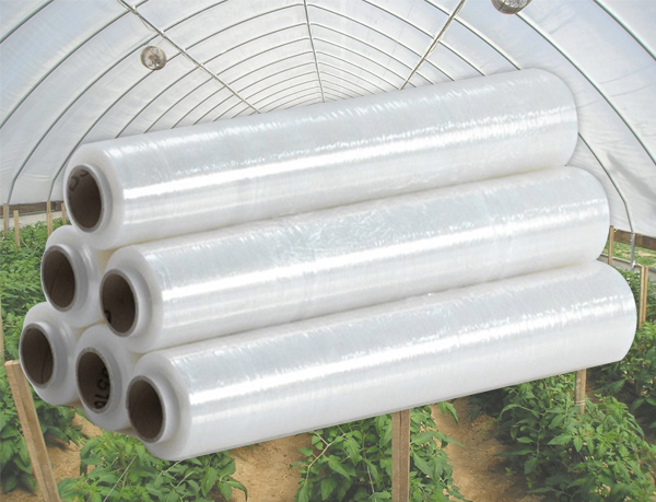 Màng PE Nhà Kính